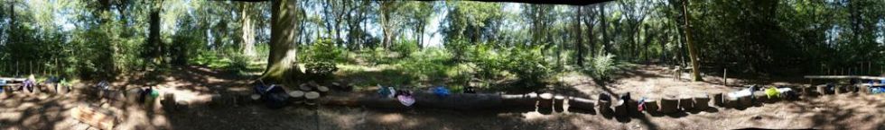 Captain Philimore's Woods